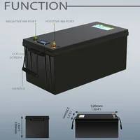 Batterie LiFePO4 12V 24V 48V 100Ah 200Ah avec BMS intégré, au phosphate de fer et de lithium, pour camping-car, voiturette de golf, stockage solaire, camping en plein air 5