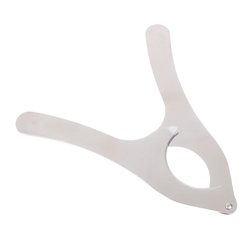 

Sea Urchin Opener Scissors Echinus Tongs Chestnut Open Cutter Professional