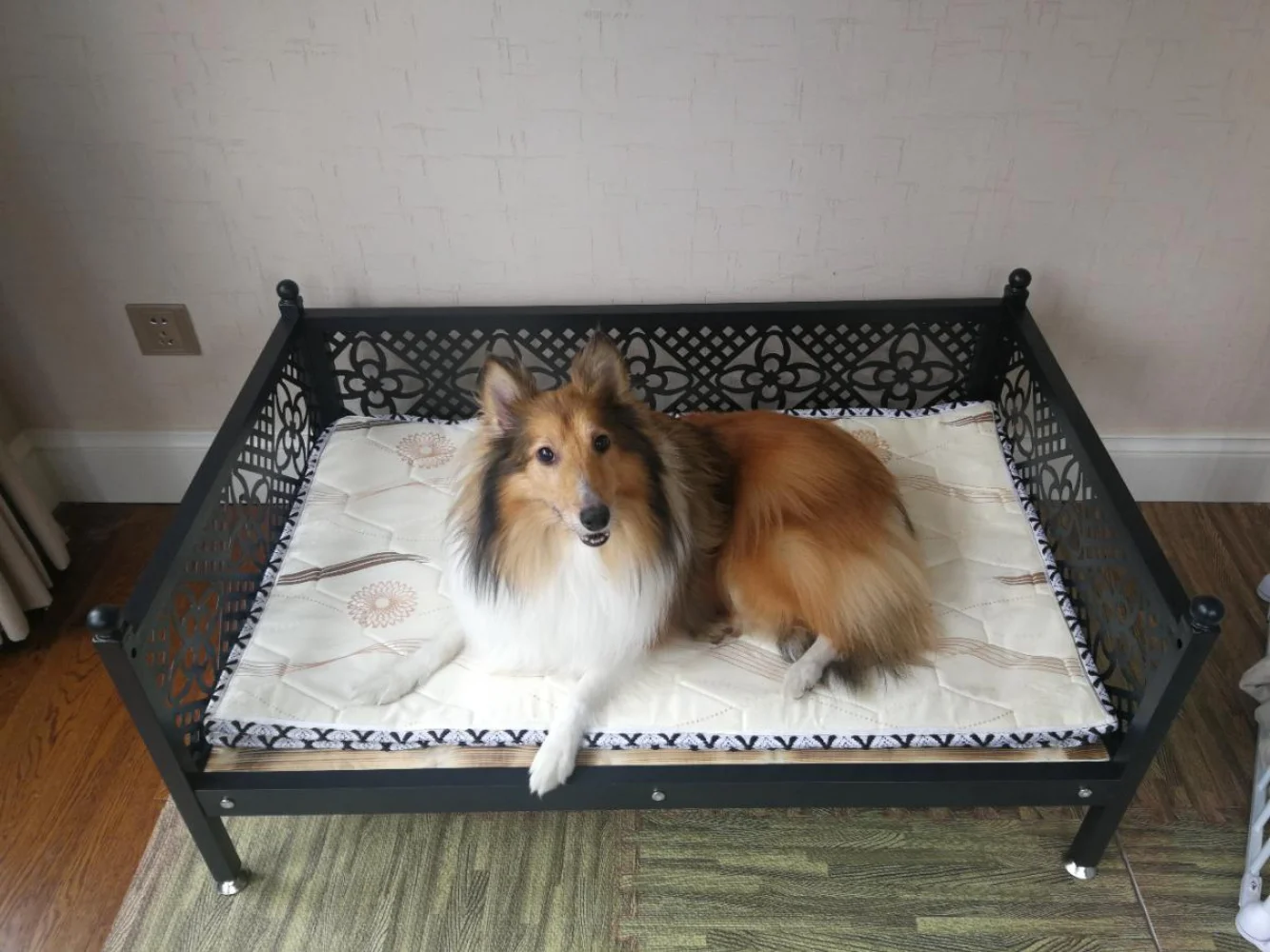 

Assembled Pet Bed With Solid Wood Board For Medium-sized Large Dog Iron Kennel For Golden Retriever Teddy Iron Bed Cat Bed