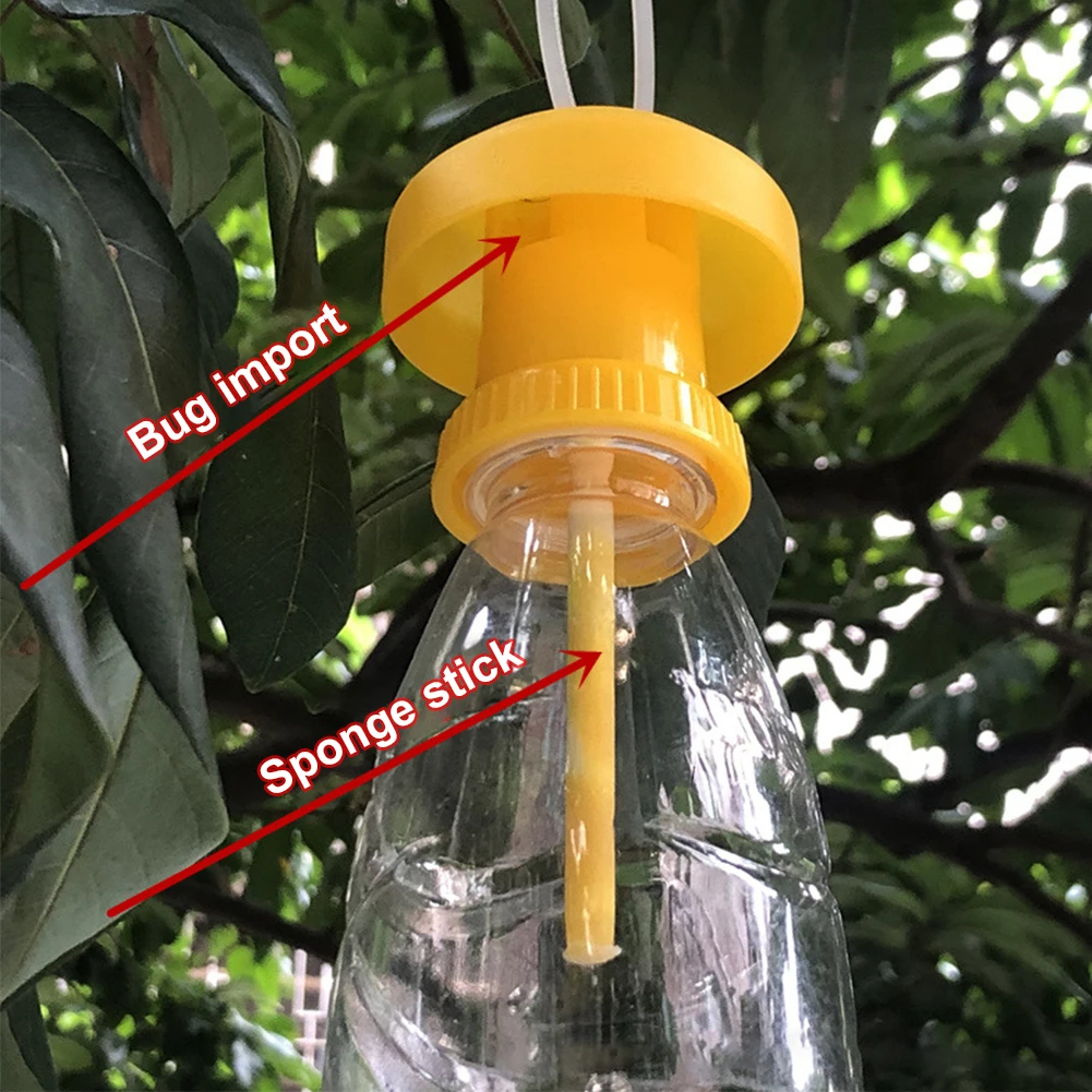 Fruit Fly Trap Killer Plastic Drosophila Trap Fly Catcher pest Insect control Home Farm Orchard 6 * 6 * 2 cm