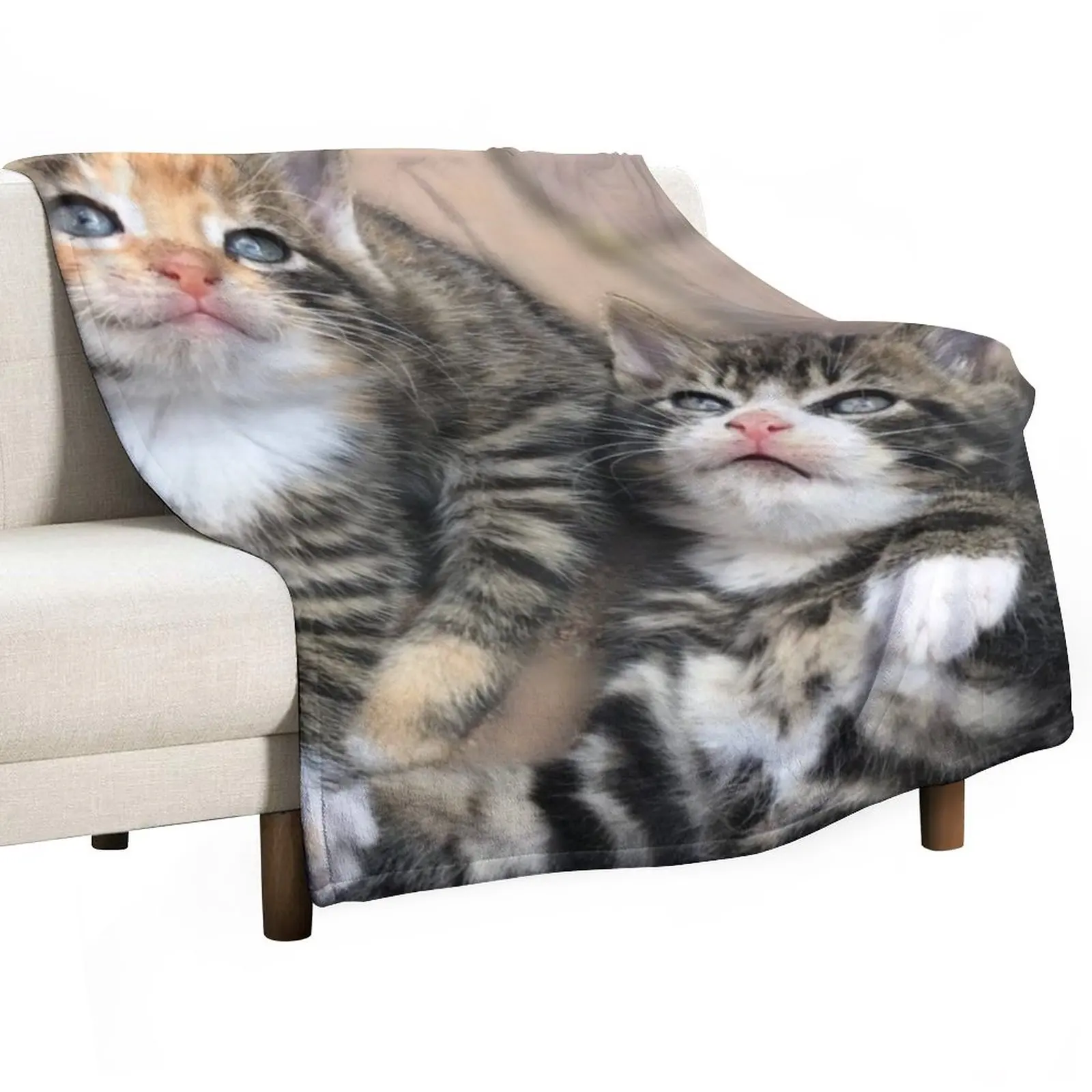 

cute kittens Throw Blanket blankets and throws Soft Blanket