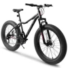 Ecarpat 26 Inch Mountain Bike, 4-Inch Wide Fat Tire Snow Mountain Bikes, 21 Speed for Men Women Bicycles, Steel Frame Disc Brake 1