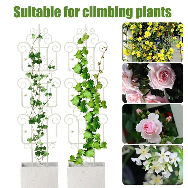 Dekoratív Kerti Szegély Kerítés Erkély Képernyő Mesterséges Növények Határ Beltéri Virágok Rácsok Cserepes Mászáshoz - Image 3