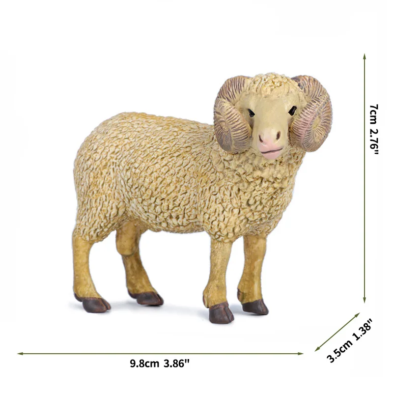 sheep