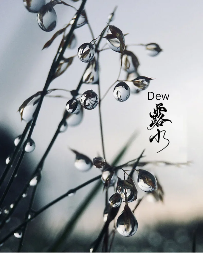 Description Picture 2 of itemLuxury Crystal Drop Chandeliers Vintage Living Room Hotel Ceiling Lamp Retro Bedroom Hanging Lamps for Ceiling Fixture LED