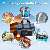 Réfrigérateur Portable pour voiture, 25l, semi-conducteur, pliable, chauffage, refroidissement, sac isolant, voiture, usage domestique, pique-nique, Camping essentiel 5
