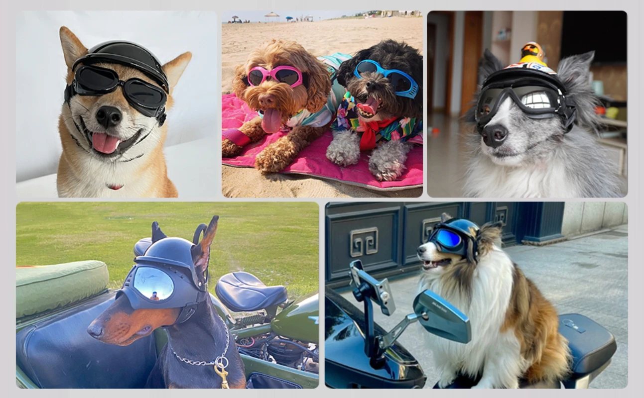 ATUBAN Dog Helmet and Sunglasses for Dogs 6