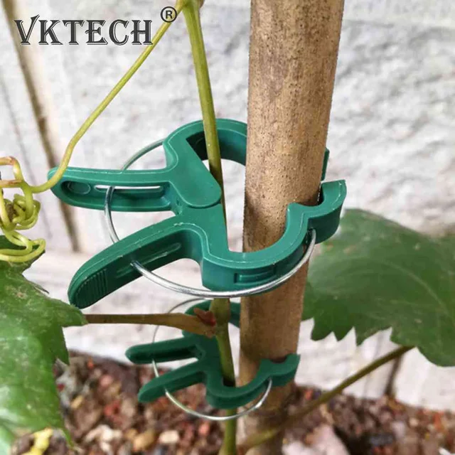 Oltó Tétek Csatlakozói Klip Újrafelhasználható Növény Rögzített Klipek Műanyag Multifunkcionális Hordozható Konzol Pólus Kertészeti Zöldségekhez