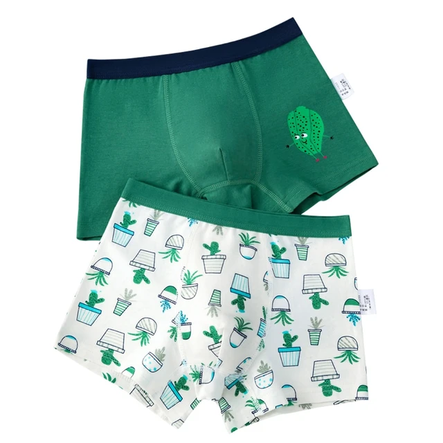 2pcs/lot Green Boy Underwear Boxer All Seasons Boy Cotton Underpanties Kids  Clothes 3 4 6 8 10 12 14 Years Old OKU203020 - AliExpress