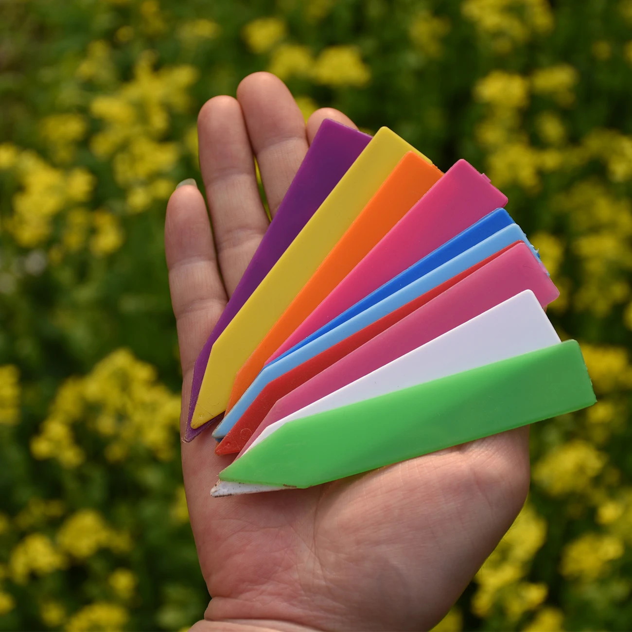 Slide image d69db9dab1e44812b7fd9b1c2dd7fa31