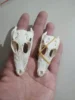 Animal Skullsmall Ornaments Crocodile Ornament Specimen Key Buckle Creative and Personalized Decorations Handicrafts Gifts 3