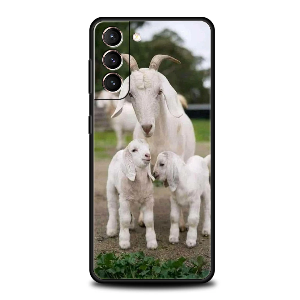 Cartoon Cute Goat Soft Phone Case Cover