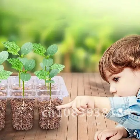 

10 шт., детский садовый инструмент для посадки семян