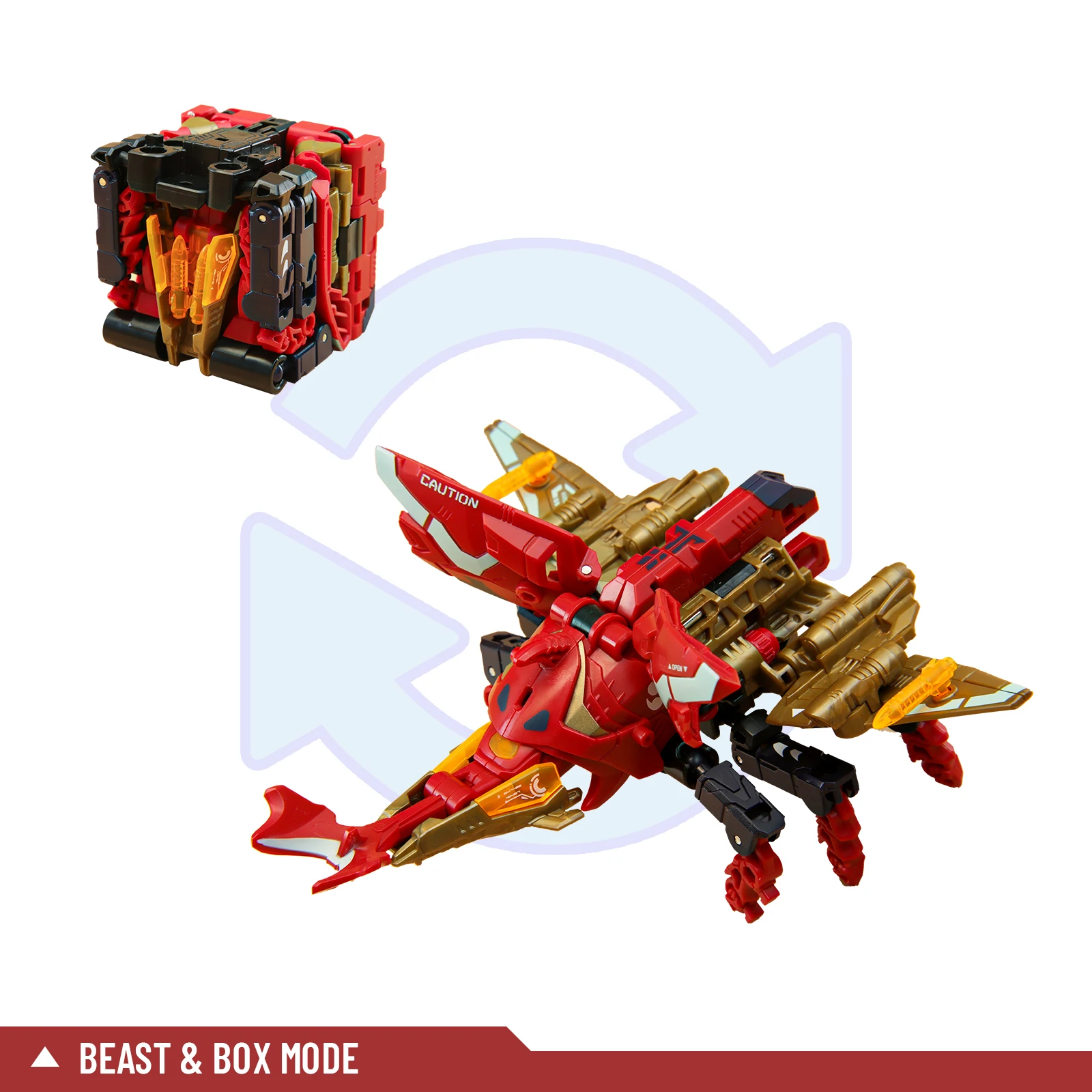 dsc-products