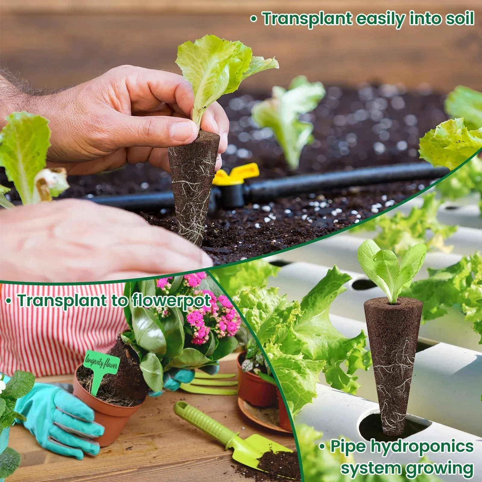 Seed Grow Sponges Replacement Root Hydroponics Indoor Garden System Sponges Water Absorbent Grow Pod Kit 50/100Pcs hydroponic grow media cubes hydroponics growing kit hydroponic garden kit sprout growing kit seed starter plugs soilless planting substrate