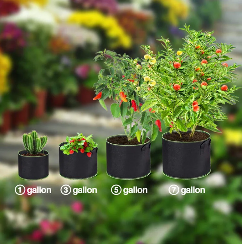 https://ae01.alicdn.com/kf/S4db016f34429468aadf269ce26904a59O/3-4-5-7-10-Gallon-Felt-Grow-Bags-Gardening-Fabric-Grow-Pot-Vegetable-Tomato-Growing.jpg