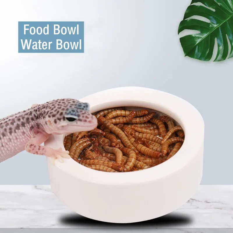 Reptile Food Water Bowl Turtle Lizard Gecko Ceramic Pet Feeder Bowls