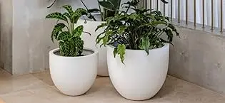 Mount Belford Planter