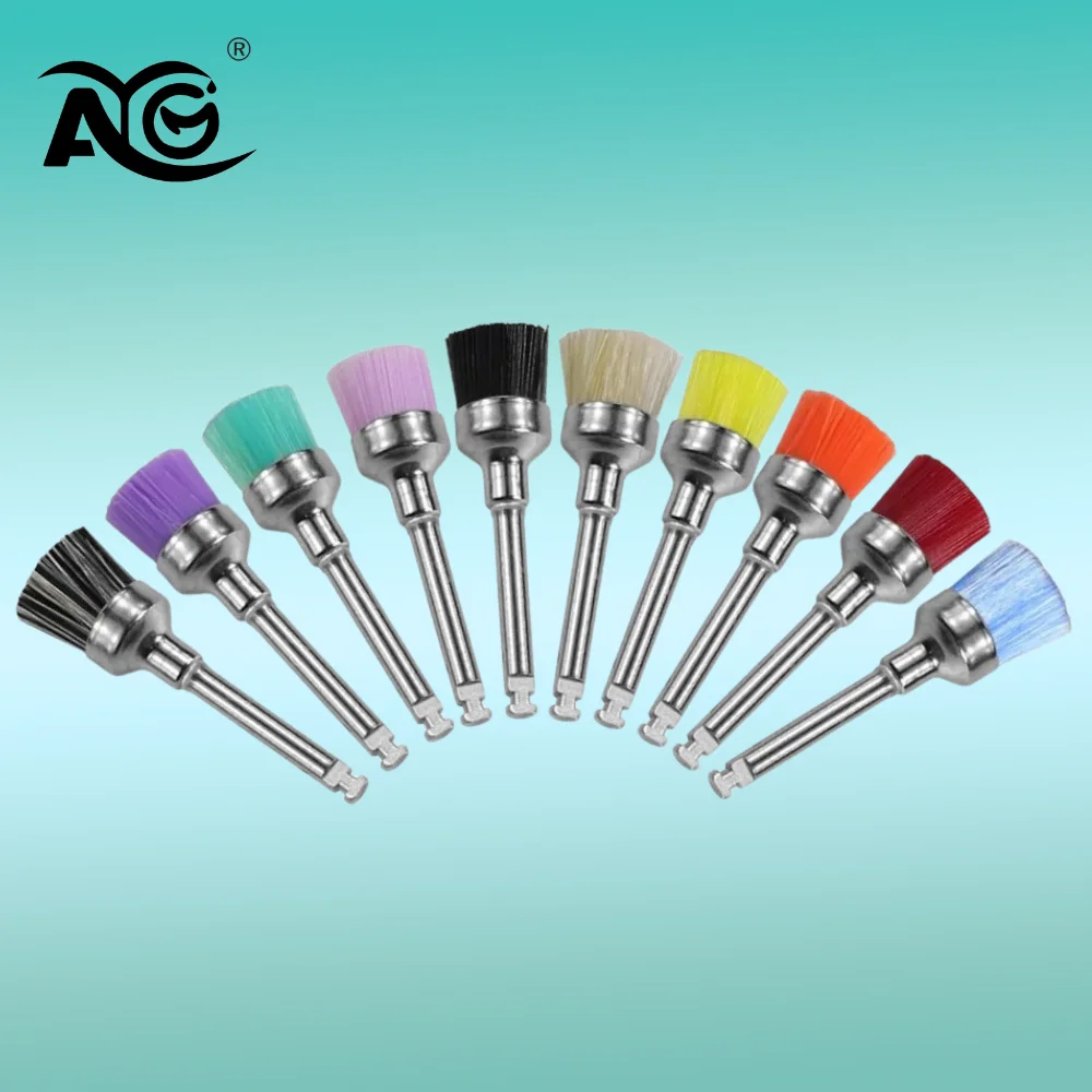 10pcs/Box Disposable Dental Polisher Nylon Bristle Brush Dentist Tools Polishing Polisher Cup Teeth Whitening Prophy Brushes