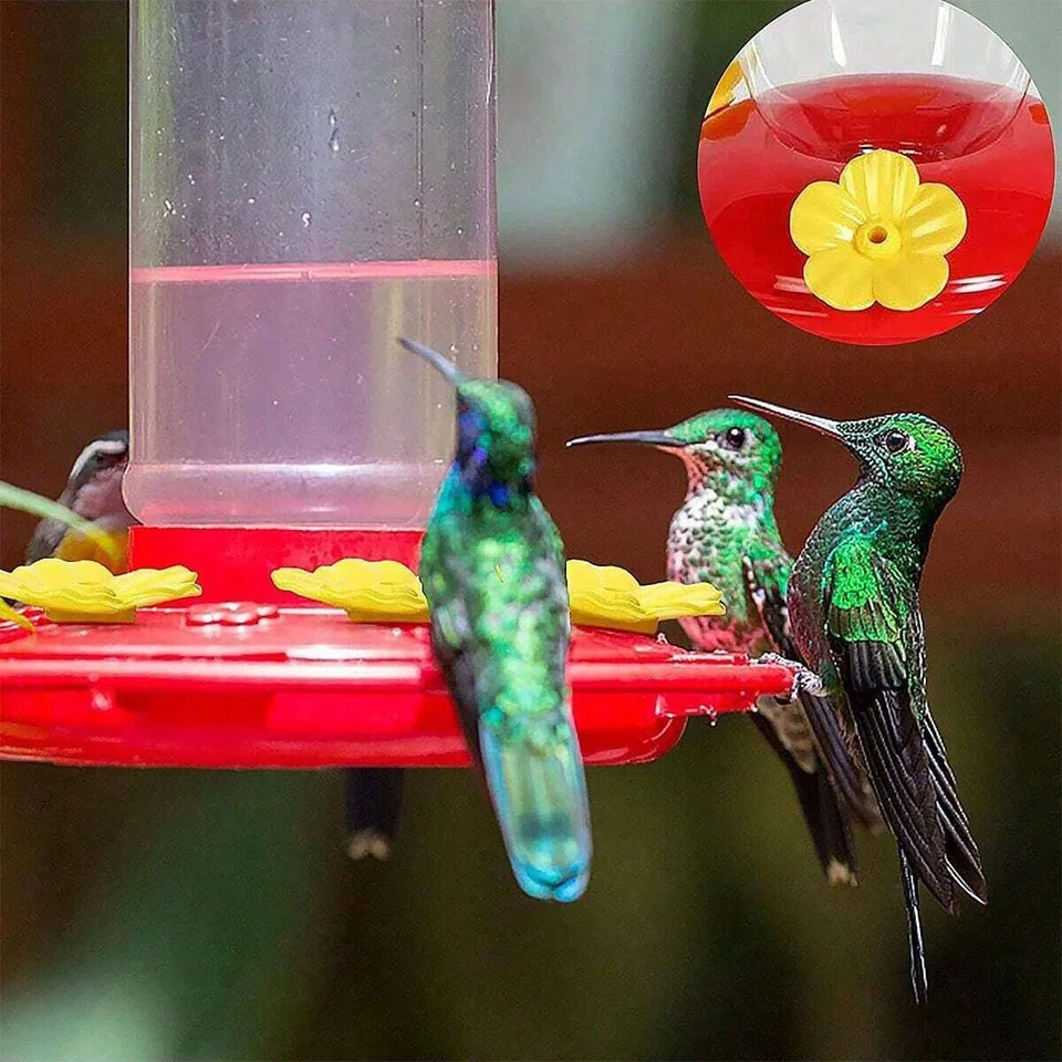 4 Anelli Di Tenuta In Gomma Per Mangiatoia Colibrì WOSIBO – Diametro 11,4 Cm – Anti-perdita, Morbidi E Durevoli