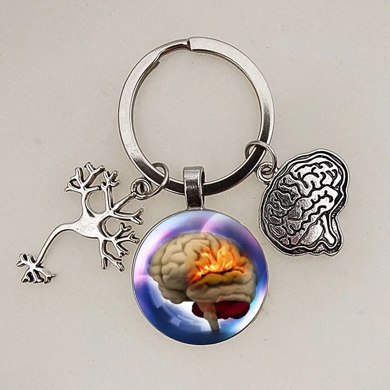 Psychology New Key Chain Medical Anatomy Key Brain Heart Nerve