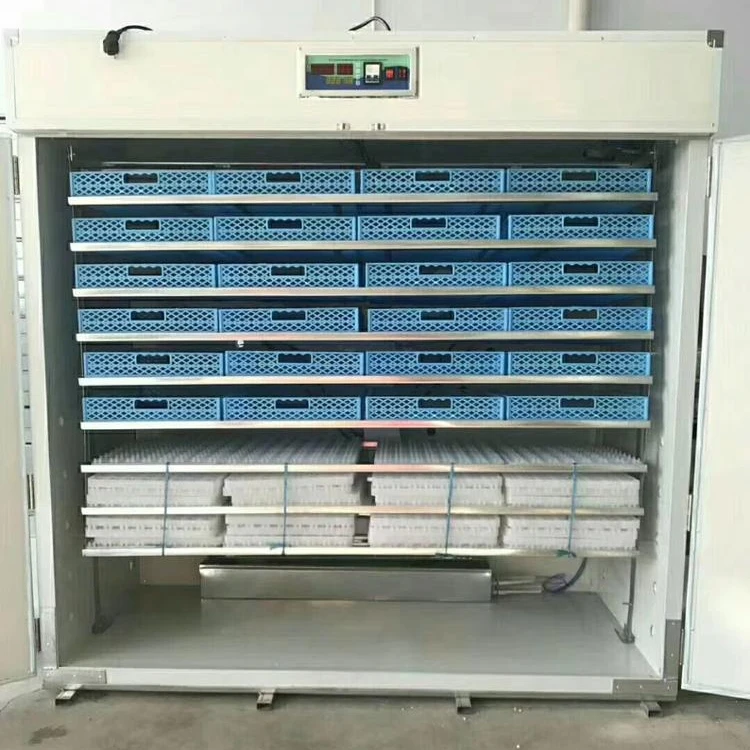 

factory directly sale chick hatcher incubator 3520 solar egg and