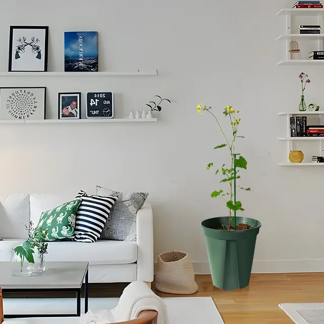 Növénytámogató Tét Kert Egyetlen Szárú Virág Tartó Amaryllis Növény Ketrec Műanyag Virágállvány - Image 6