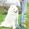 Dog Leash Hands Free Dogs Leash Adjustable Dogs Chain 230cm Double Leashes for Dog Walking Multifunctional Nylon Rope Pet Walker 2