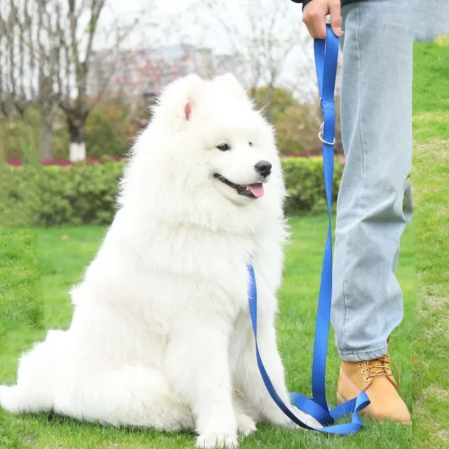 Dog Leash Hands Free Dogs Leash Adjustable Dogs Chain 230cm Double Leashes for Dog Walking Multifunctional Nylon Rope Pet Walker 2