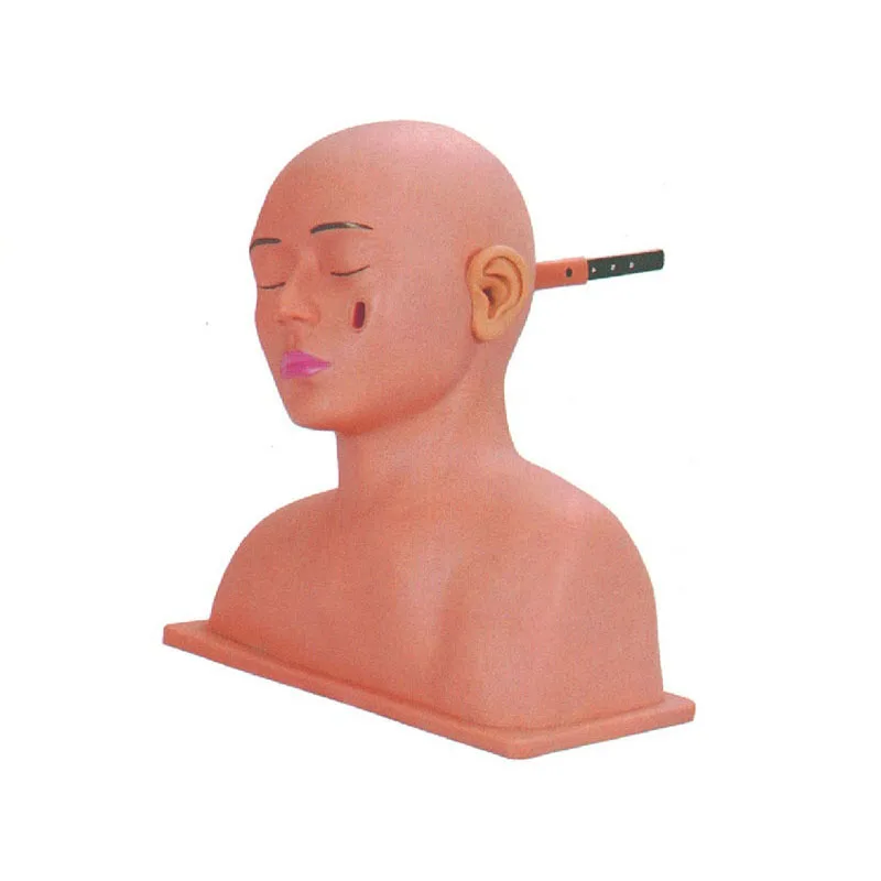 Advanced Ear Inspection Diagnostic Simulator Medical for Training Education