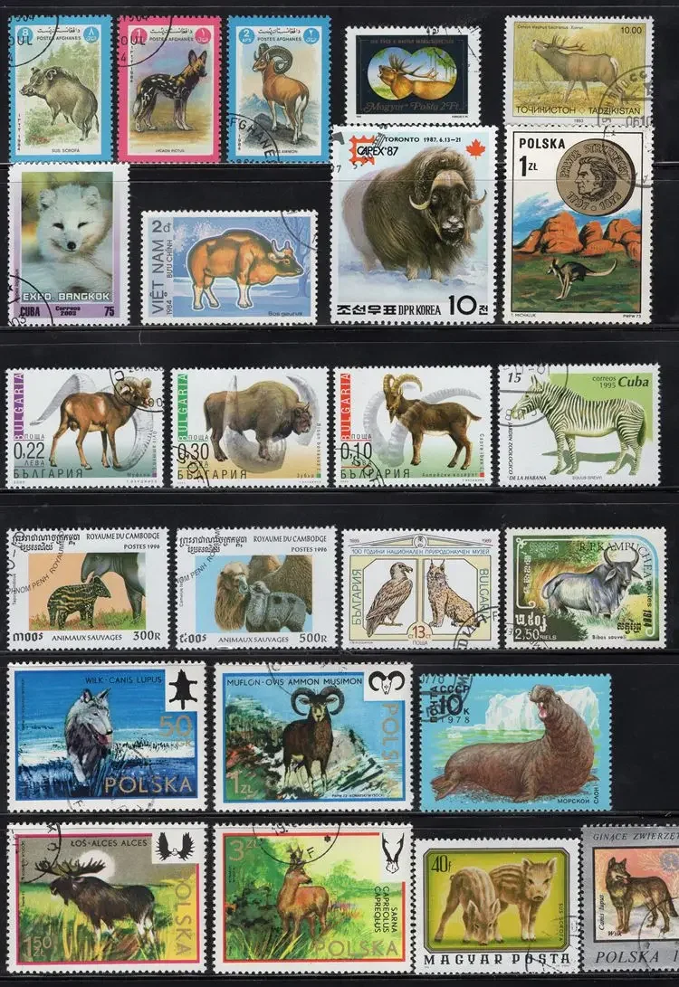 Wild Animals Stamp Topic All Different From Many Countries NO Repeat Postage Stamps with Post Mark for Collecting 50Pcs/Lot postage stamps