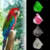 Bird Feeding Bowl Bird Cage Water Bowl Bird Feeding Trough Bird Half Round Food Box Parrot Feeding Tool Bird Cage Accessories 3