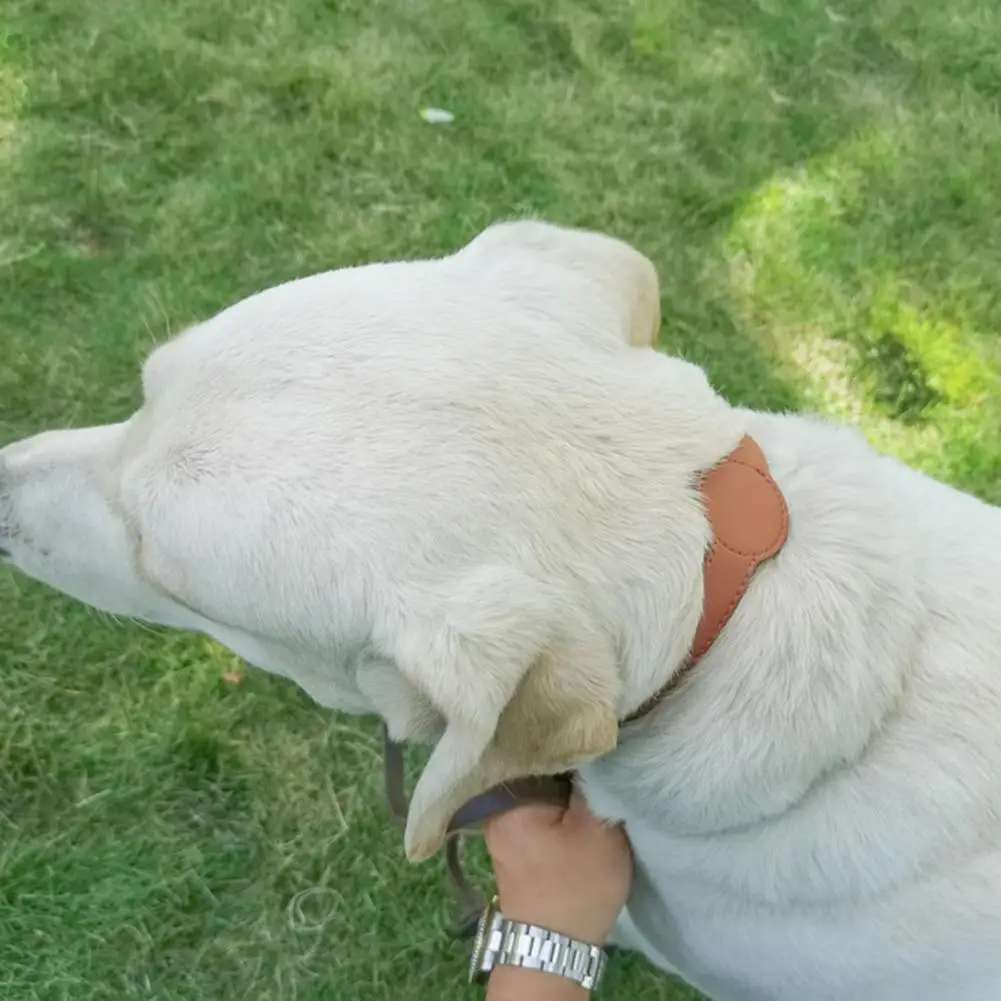 Collare Per Gatti Con Segnale Non Bloccante Collare Per Gatti Ecologico Collare Per Gatti In Ecopelle Impermeabile Con Posizione Gps Per Airtag