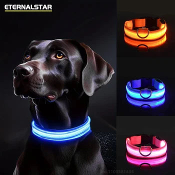 LED Reflective Dog Collar 1