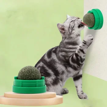 Catnip Wall Stick-On Ball Toy 1
