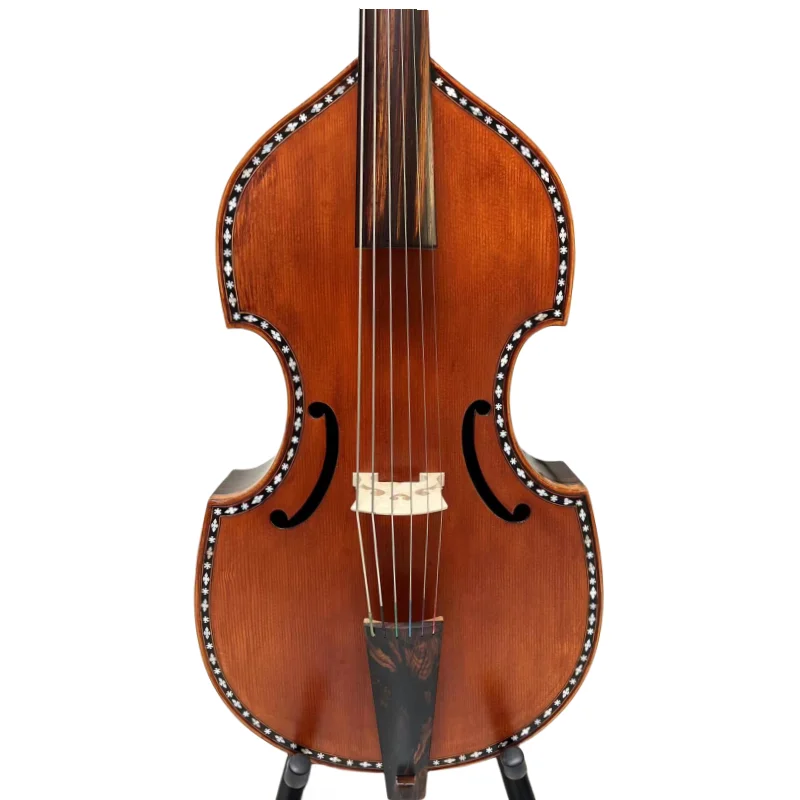 Mexico rosewood inlay shell 6string 23" viola da gamba,Professional concert play