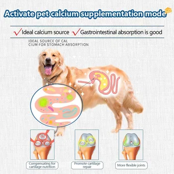 Pet Freeze-dried Food High Calcium Cheese Rich in Nutrients Cat Dog Snacks Aid Digestion Snacks Calcium Supplements Dairy tablet 5