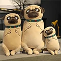 Kim Baby Pets Store