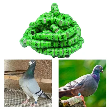 10/50Pcs 2025 Racing Pigeon Foot Rings Durable Aluminum Plastic Link Bird Marking Tools for Pigeon Care And Management