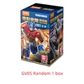 GV05 Random 1box