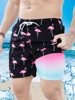 Firebird gradient lined with beach shorts 1