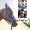 Horse Halter Bridle Rein Detachable Head Collar Strap Stable Protective 2