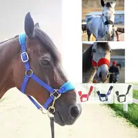 Horse Halter Bridle Rein Detachable Head Collar Strap Stable Protective 2