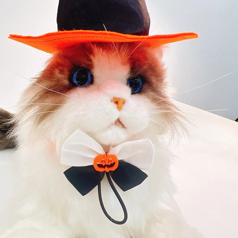 halloween-cat-costume-ideas
