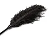 33CM Ostrich Feather Whip,PVC Handle Spanking Paddle Whip fo Cosplay Performance Props 4