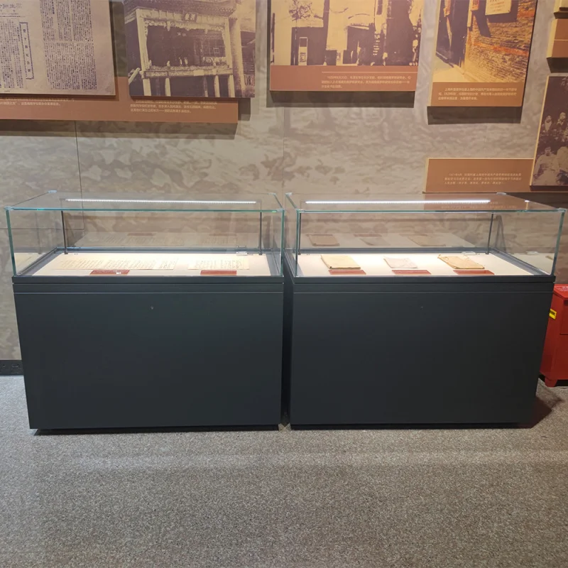 맞춤형 시계 진열장 보석 진열장 전시 진열장 자연사 및 과학 박물관