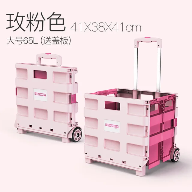 pink 65L