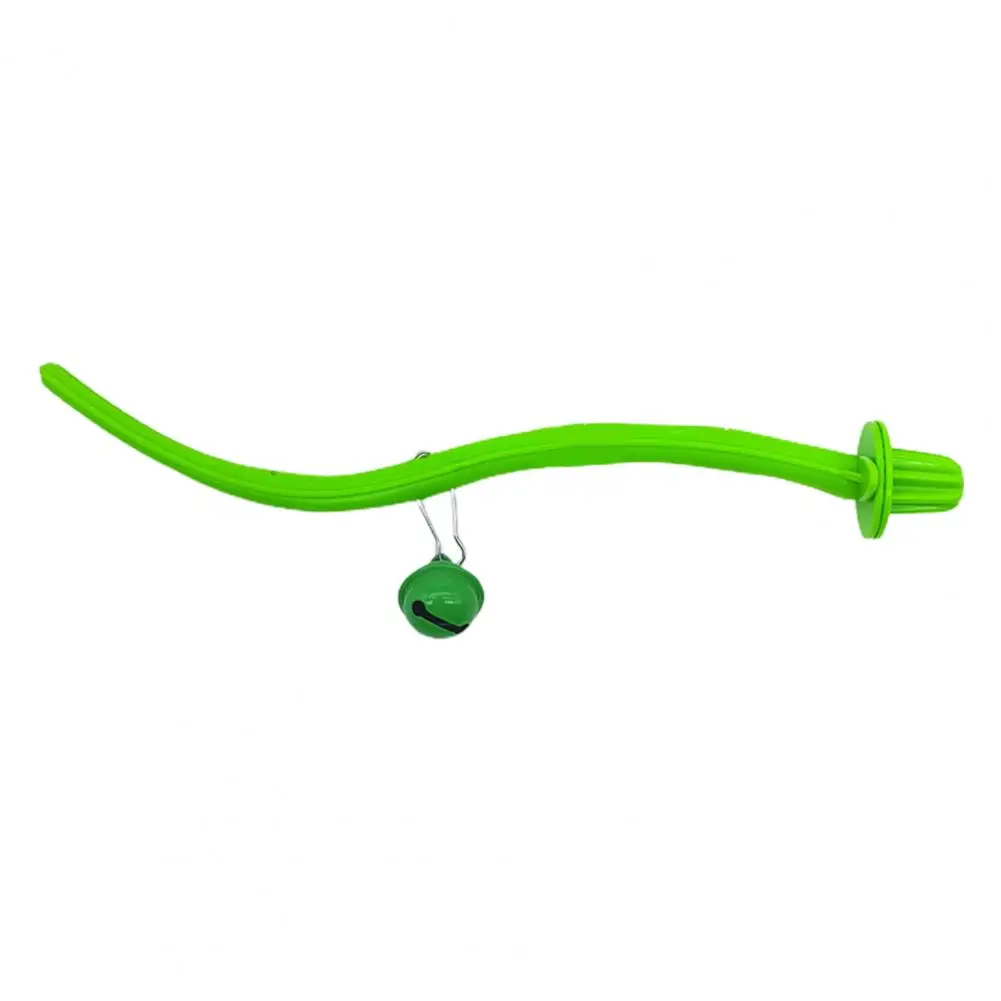 5 Papageien-Sitzstangen Aus Naturholz – Je 20 Cm, Mit Spielzeug & Halsband | Kauspielzeug Für Vögel