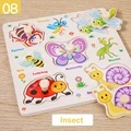 Insect