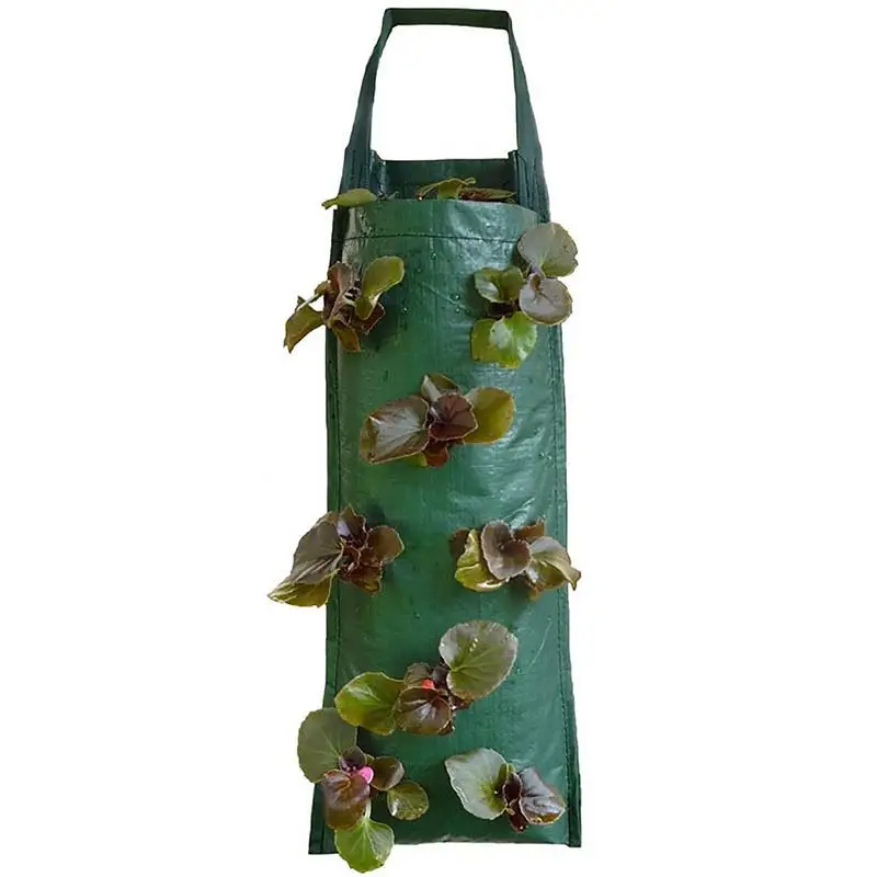 

Strawberry Grow Bags Multi Mouth Container Bags Vegetable Planting Bag Aeration Fabric Pots With Handles Thickened Garden Bags